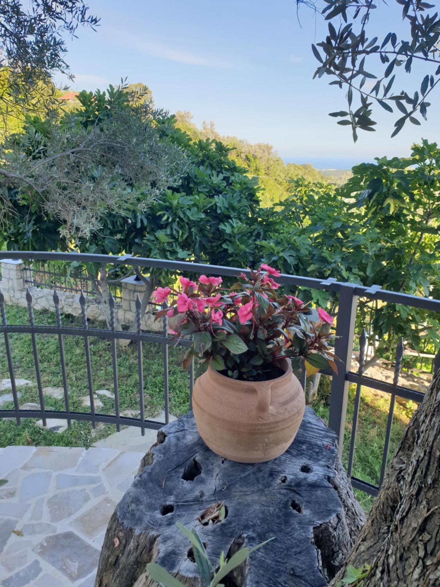 Rustic Villas Barlovic Ulcinj Exteriér fotografie